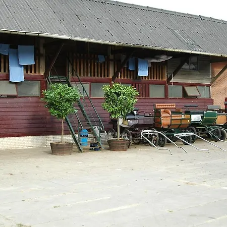 Hotel Buitensporthotel Hoenderloo